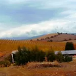 Il Cantiniere 그레세토