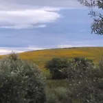 Il Cantiniere 그레세토