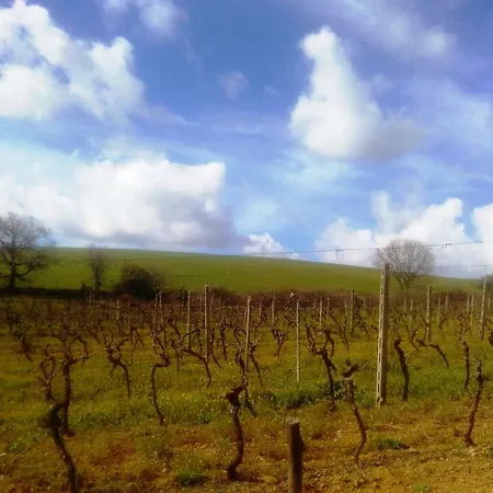 Farm stay Il Cantiniere
